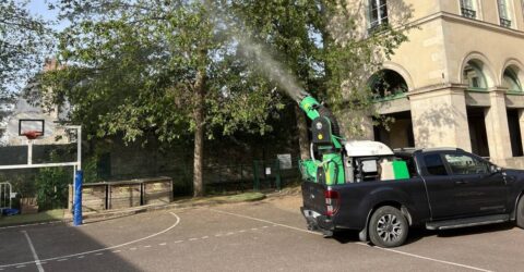 Dispositif de traitement contre la chenille processionnaire