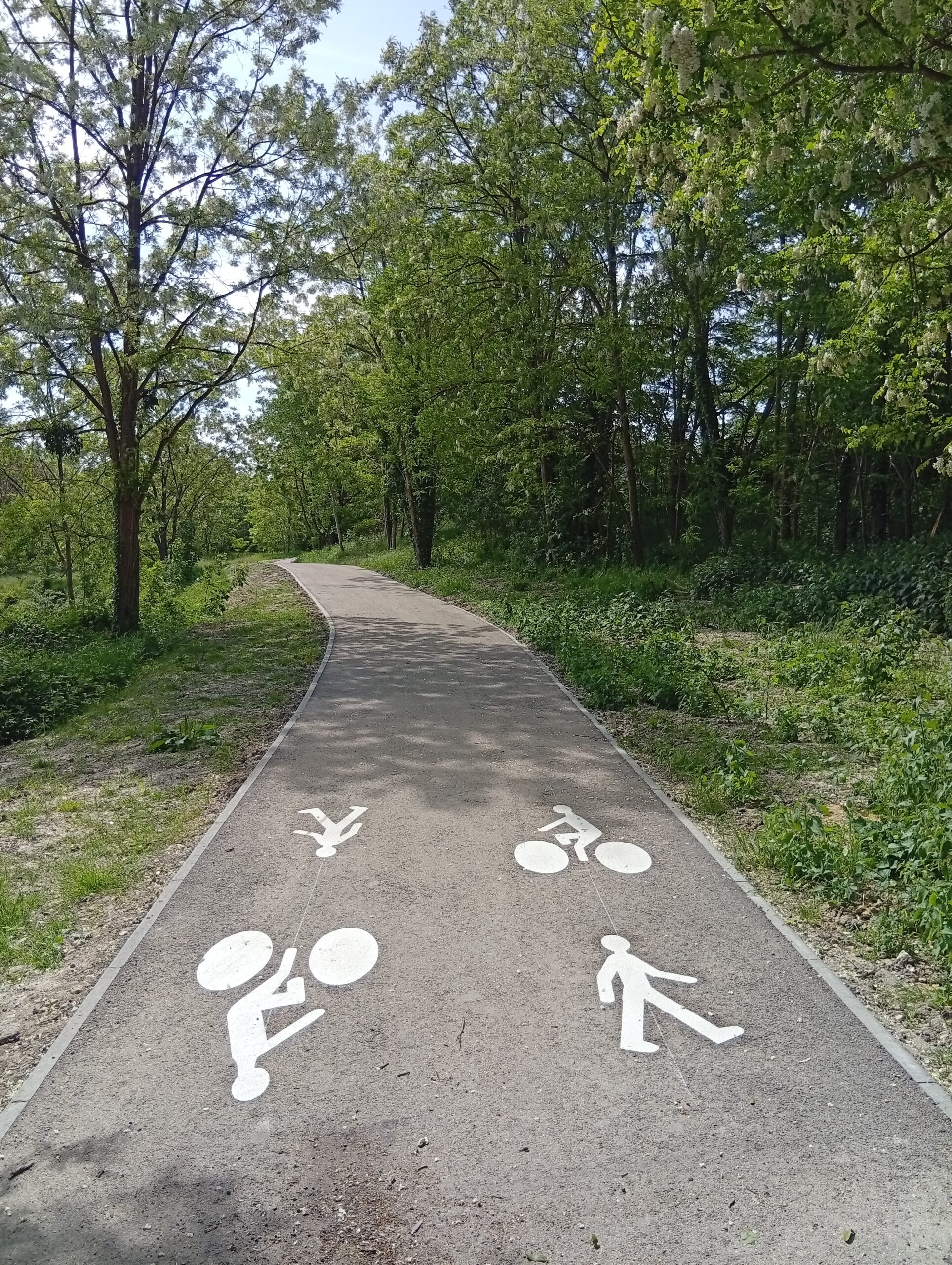 Piste cyclable de la Commanderie